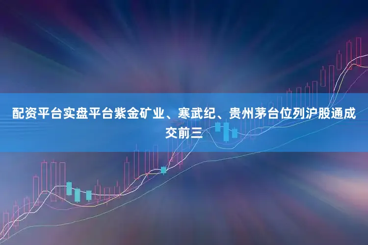 配资平台实盘平台　　紫金矿业、寒武纪、贵州茅台位列沪股通成交前三