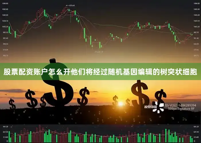 股票配资账户怎么开他们将经过随机基因编辑的树突状细胞