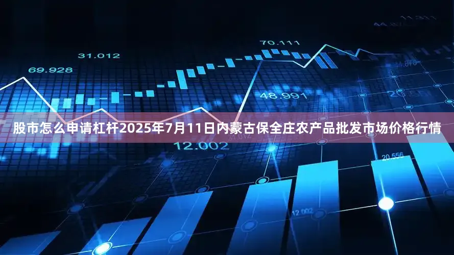 股市怎么申请杠杆2025年7月11日内蒙古保全庄农产品批发市场价格行情