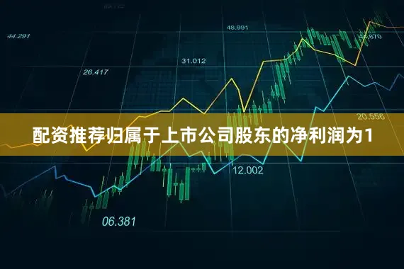 配资推荐归属于上市公司股东的净利润为1