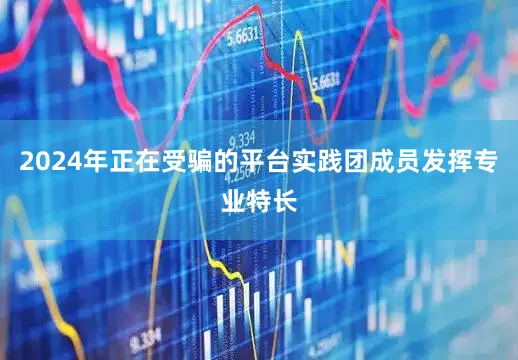 2024年正在受骗的平台实践团成员发挥专业特长