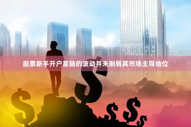 股票新手开户星链的波动并未削弱其市场主导地位
