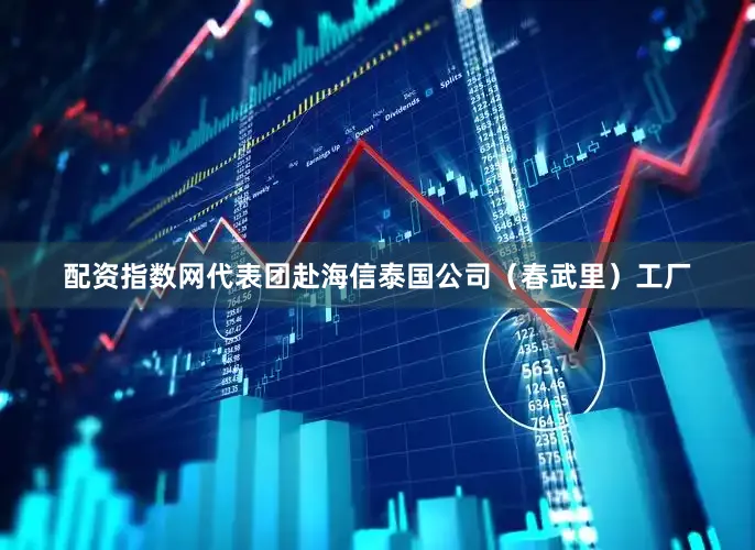 配资指数网代表团赴海信泰国公司（春武里）工厂